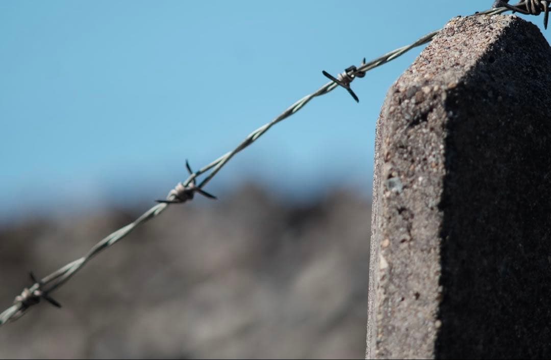 レンズ(単焦点) Carl zeiss Jena DDR Flektogon 35mm 2.8