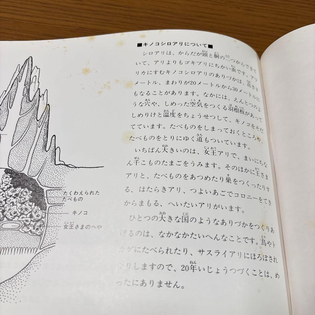 【希少　絶版】　吉田遠志　絵本　アフリカのどうぶつたち　動物絵本シリーズ　12冊