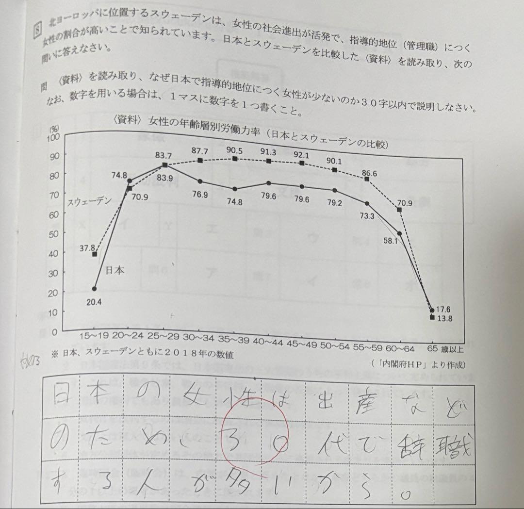 浜学園　6年　社会テキスト14冊完全セット
