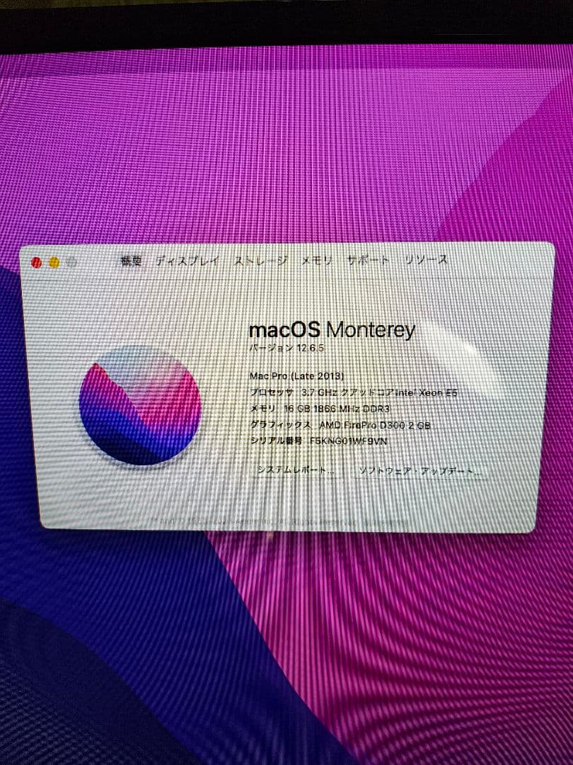 送料込みApple Mac Pro 2013 256GB SSD