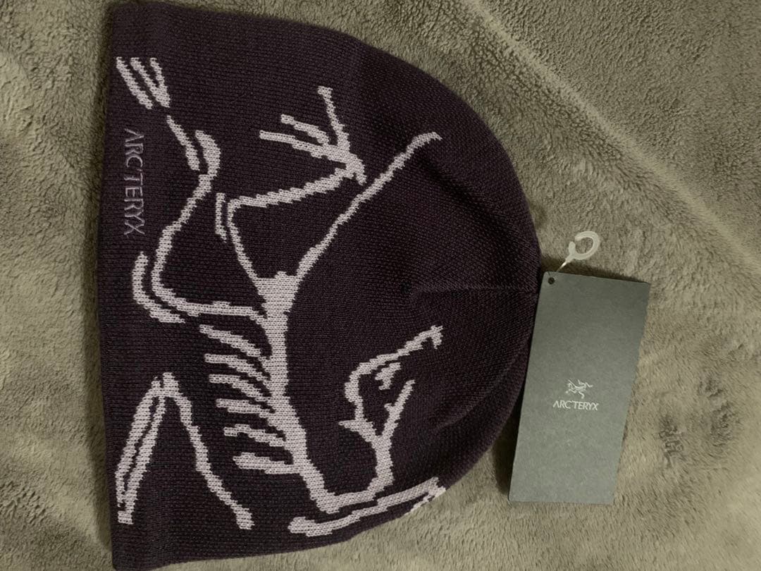 2026年2月購入★新品★ 新色★アークテリクス　バードヘッドトーク