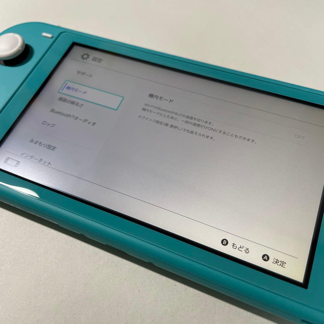 Nintendo Switch Lite ターコイズ 美品 SDカード ケース付