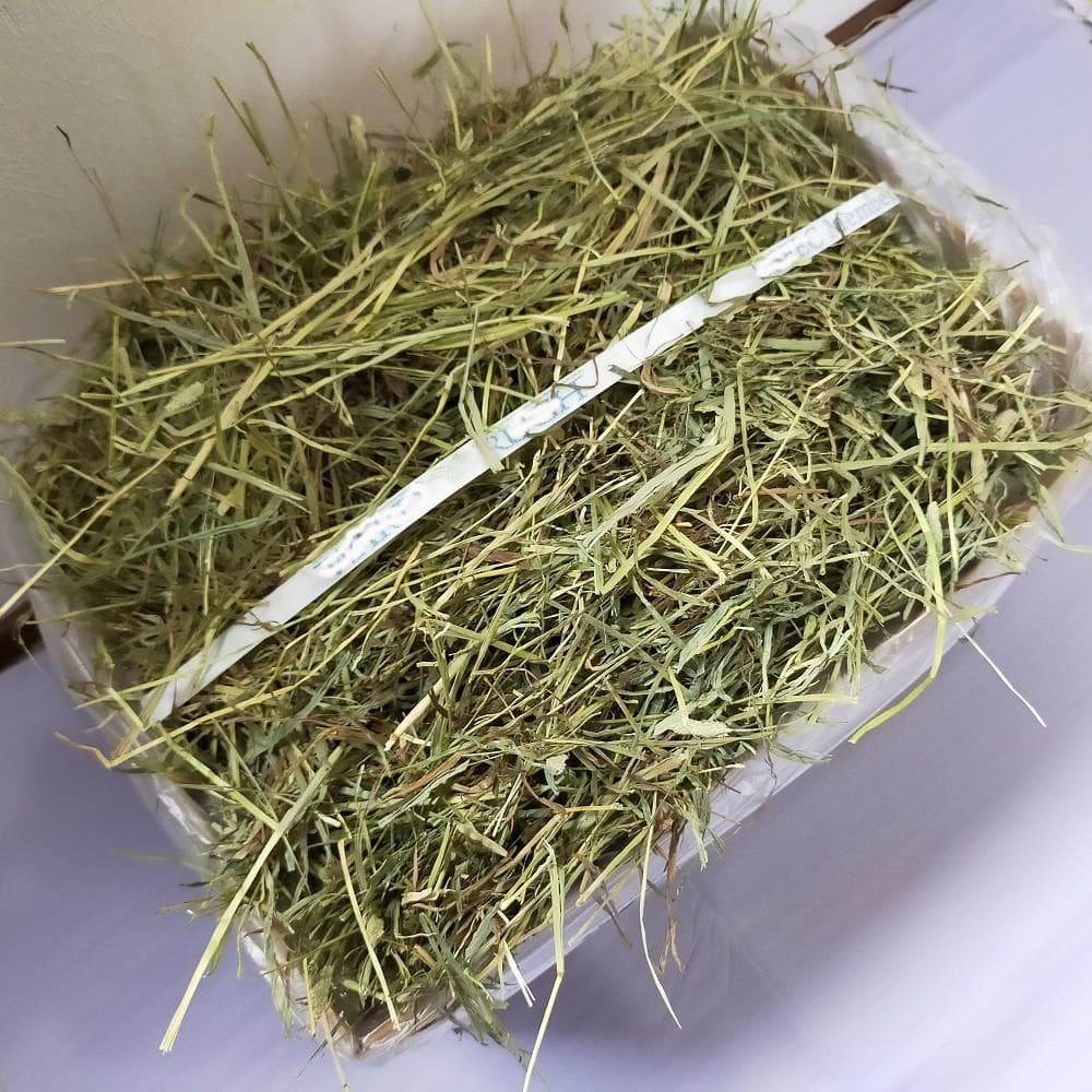 【5/31まで】US産 チモシー 60kg ２番刈 ソフトSプレミアム