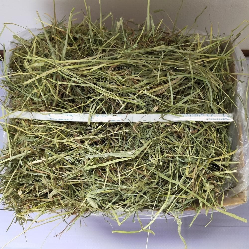 【5/31まで】US産 チモシー 60kg ２番刈 ソフトSプレミアム