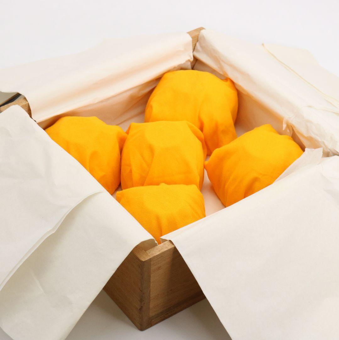 林敏夫作 白磁唐草文湯呑 五客 共箱 板谷波山弟子 茶器 共箱　C695　DD