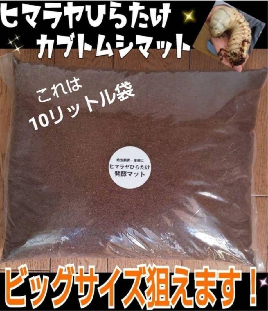 ヒマラヤひらたけ発酵カブトムシマット【60L】雑虫がわかない！幼虫の餌、産卵にも