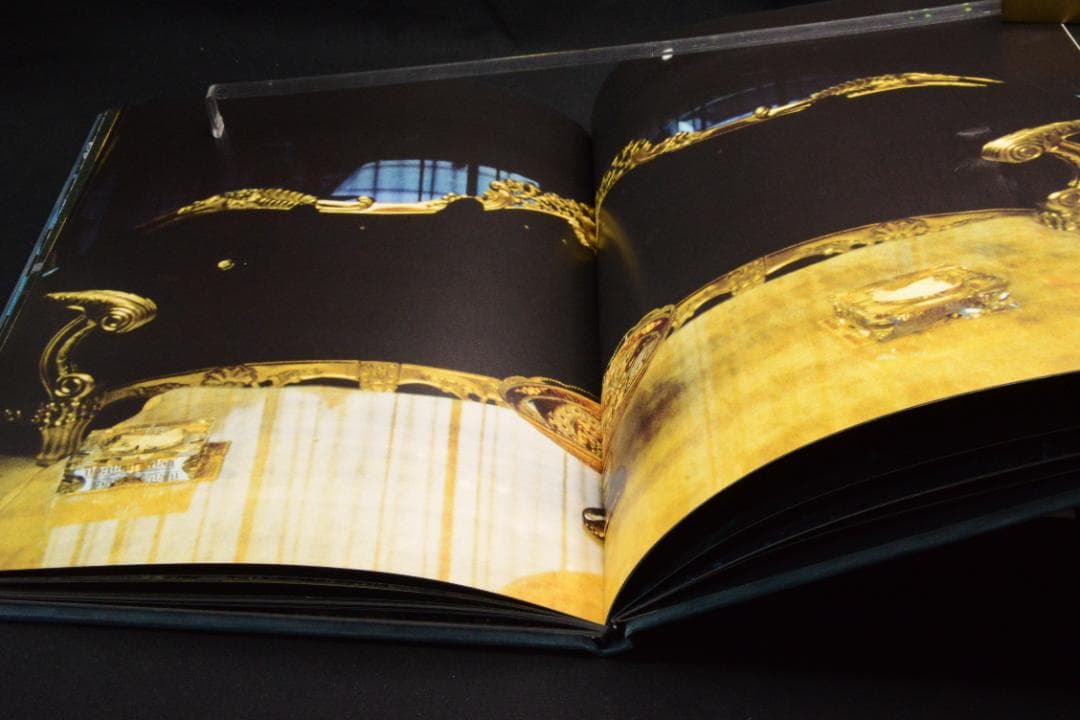 Blue Mud Swamp：Filipe Casaca　★大幅に値下げしました