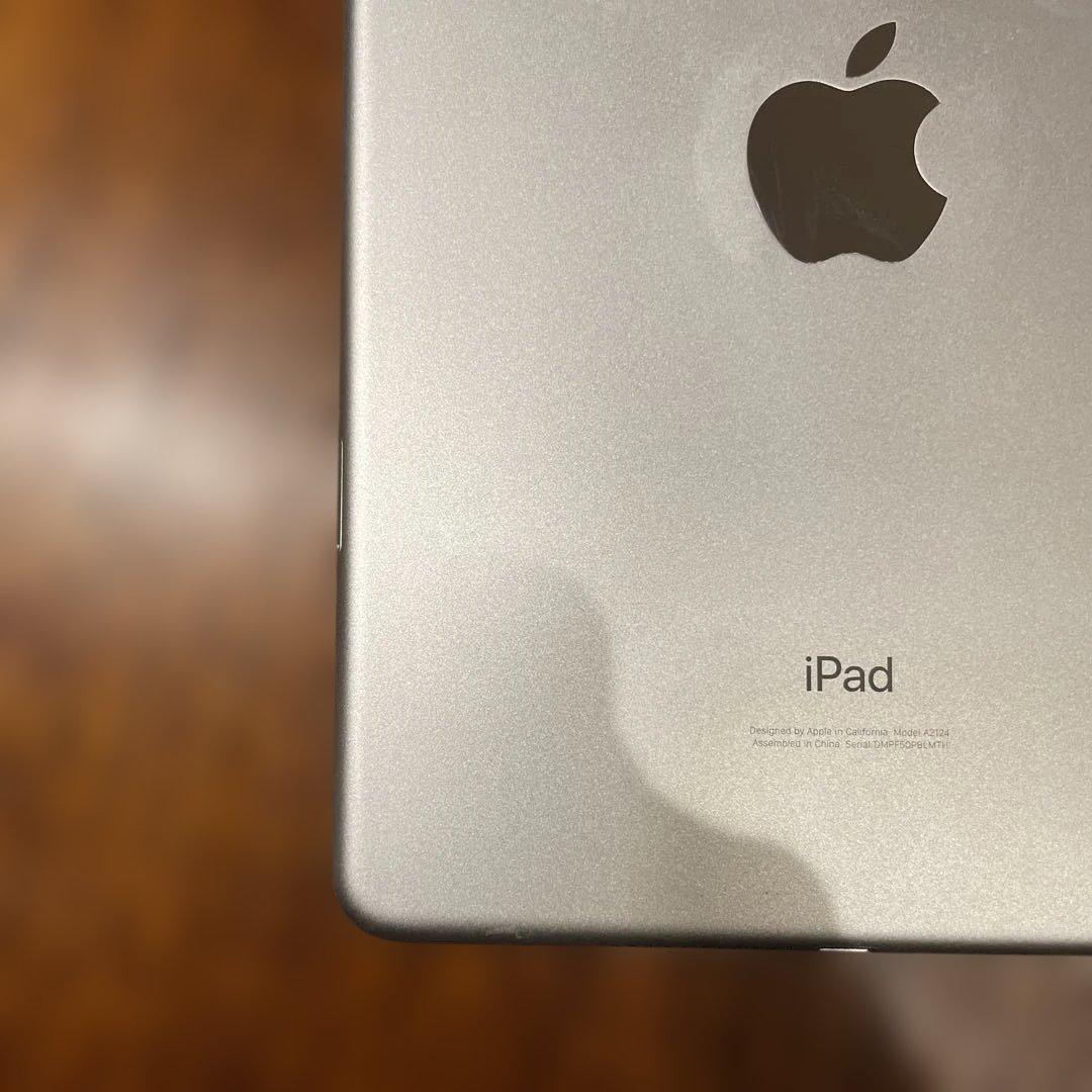 iPad mini 第5世代 256gb Wifi+Cellular