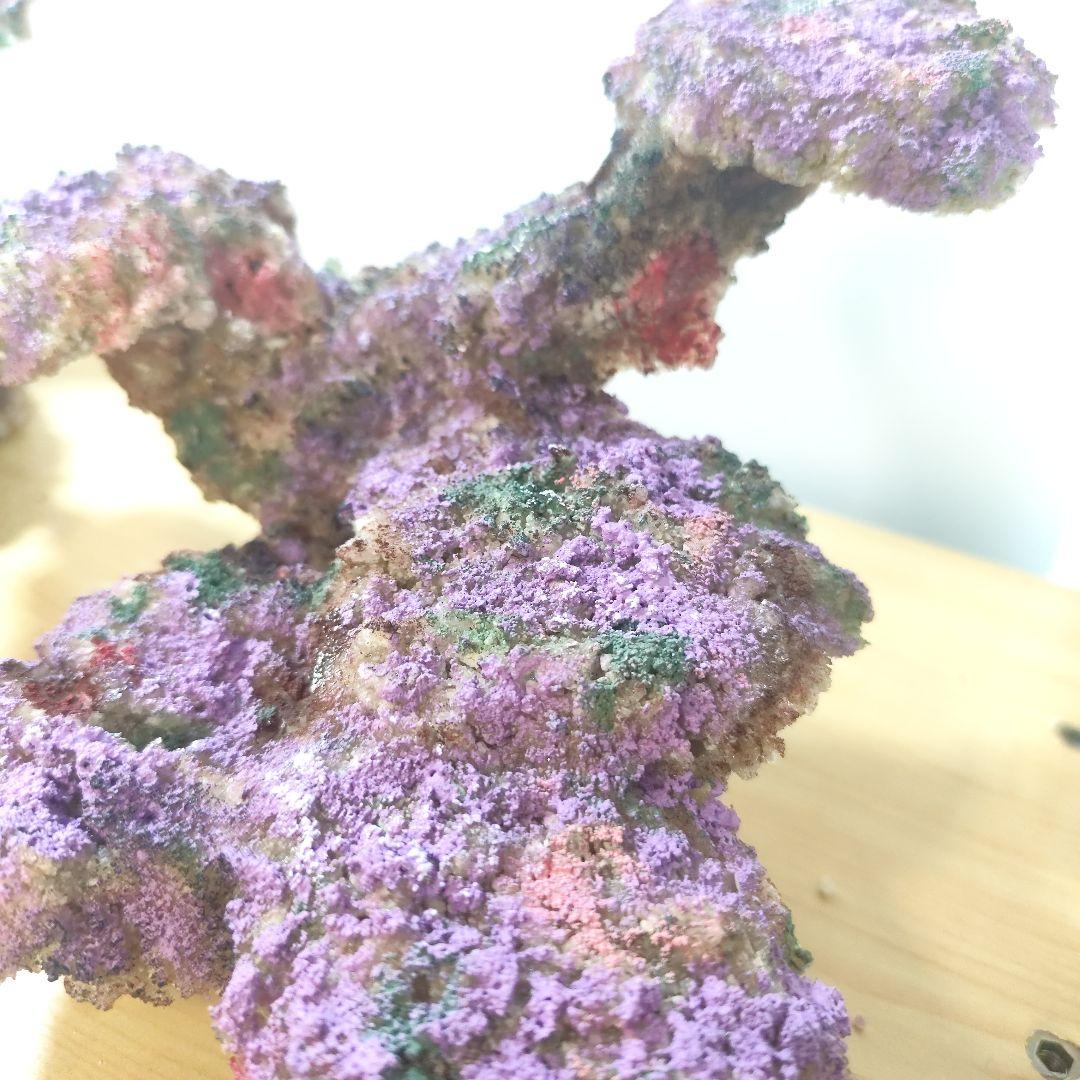 新品アク抜き不要 分離型人工ライブロック 60cm海水水槽用 レプリカ 多孔質4