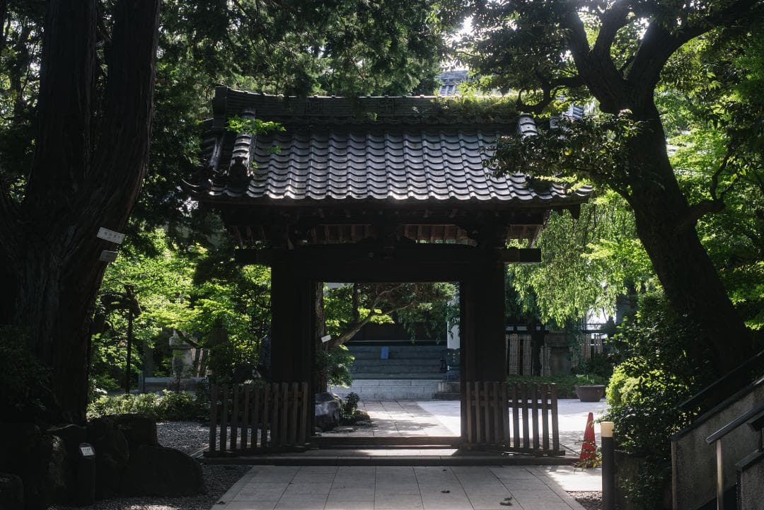 ライカの標準！Leica Elmar 50mm F2.8 オールドレンズ