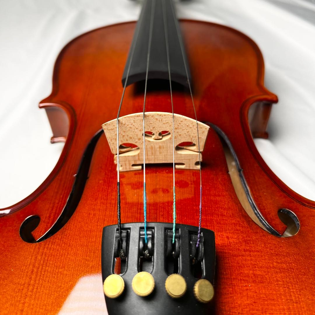 【美品】Carlogiordano VS-F1 付属品多数　カルロジョルダーノ