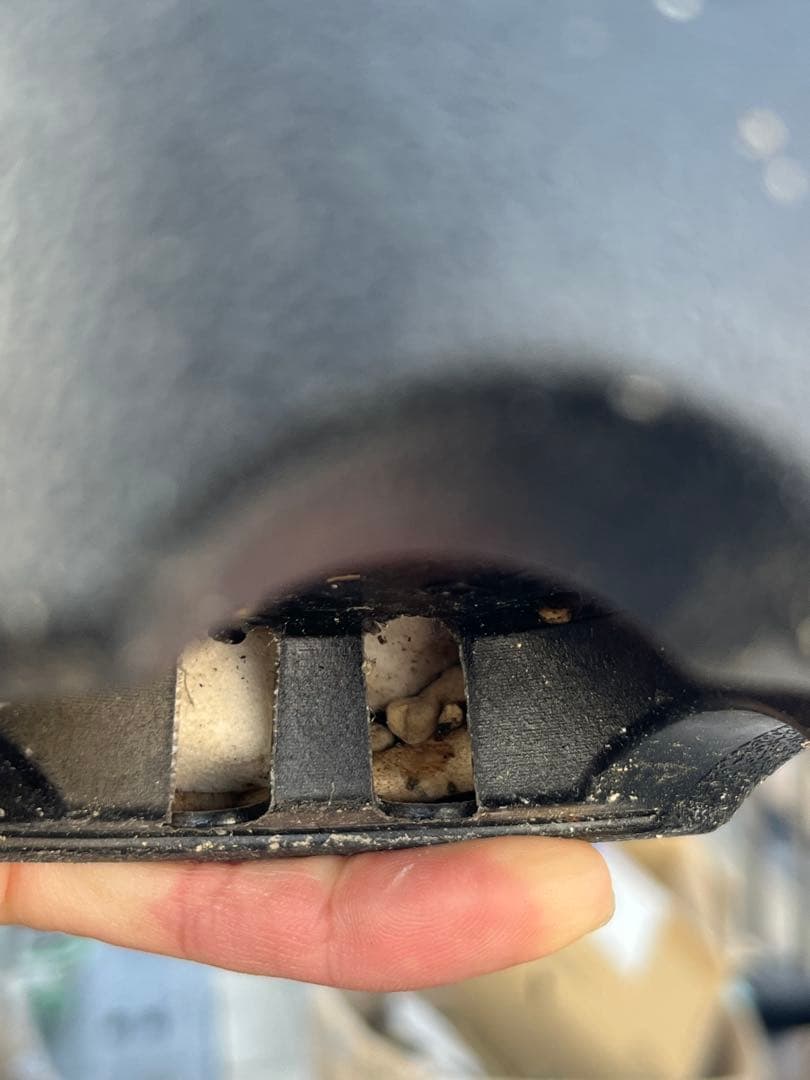 ブーファン　ハエマンソイデス　（検　ハエマントイデス　ディスティチャ