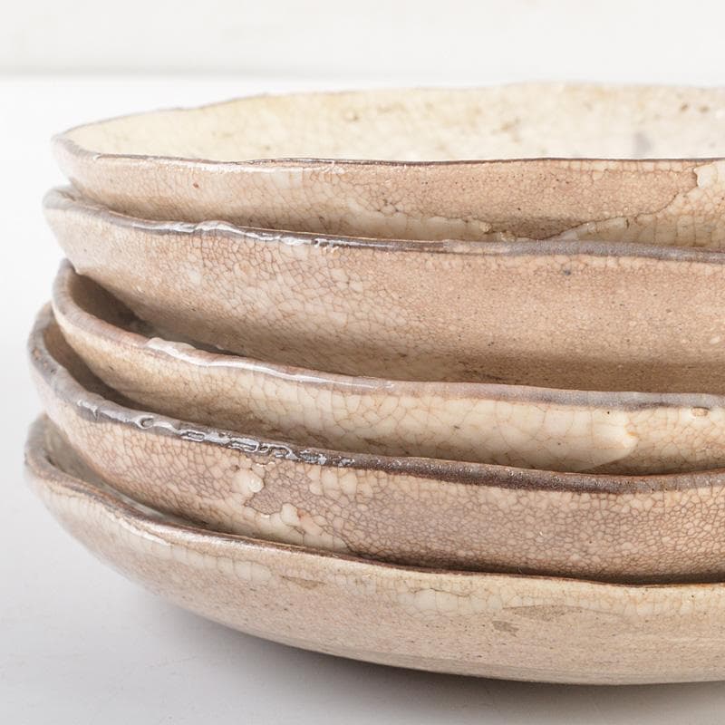 志野焼　絵志野　大橋秋二作　松文　手塩皿　小皿　五客　共箱　V　R7447