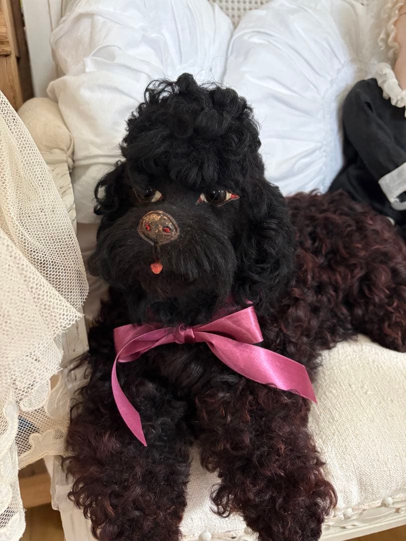 MAICATです☆ ありがとうございます(^^)パジャマドッグ