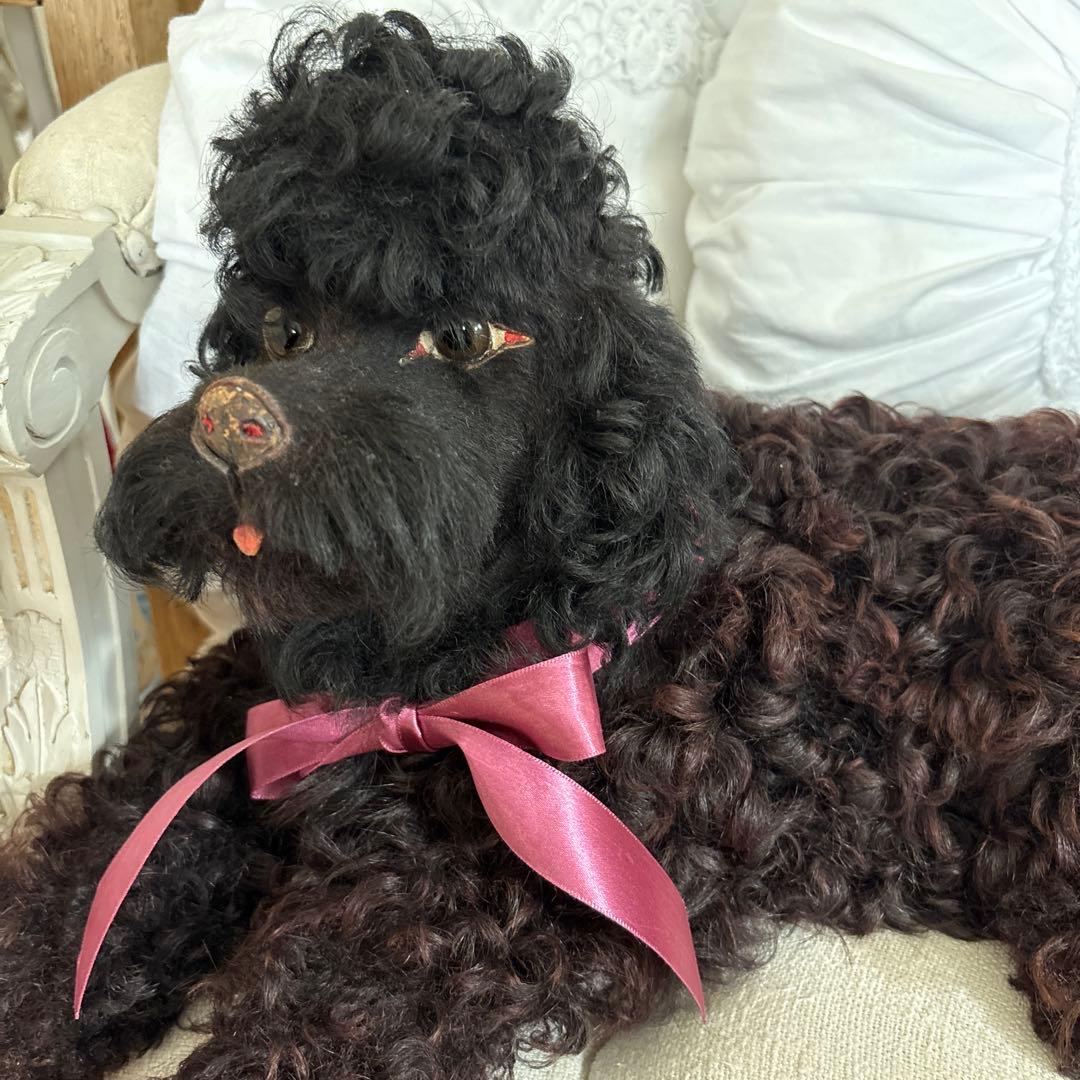 MAICATです☆ ありがとうございます(^^)パジャマドッグ