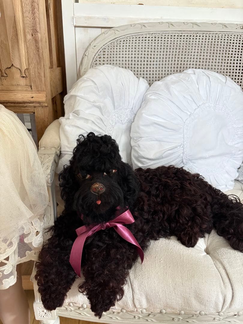 MAICATです☆ ありがとうございます(^^)パジャマドッグ