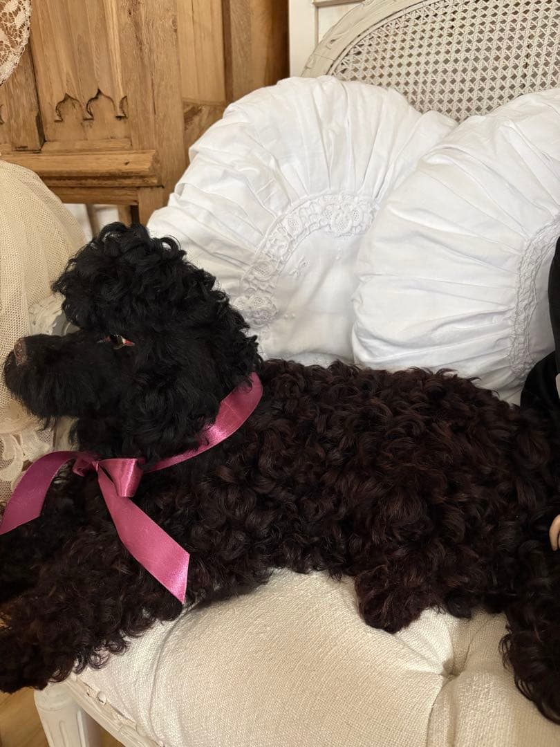 MAICATです☆ ありがとうございます(^^)パジャマドッグ