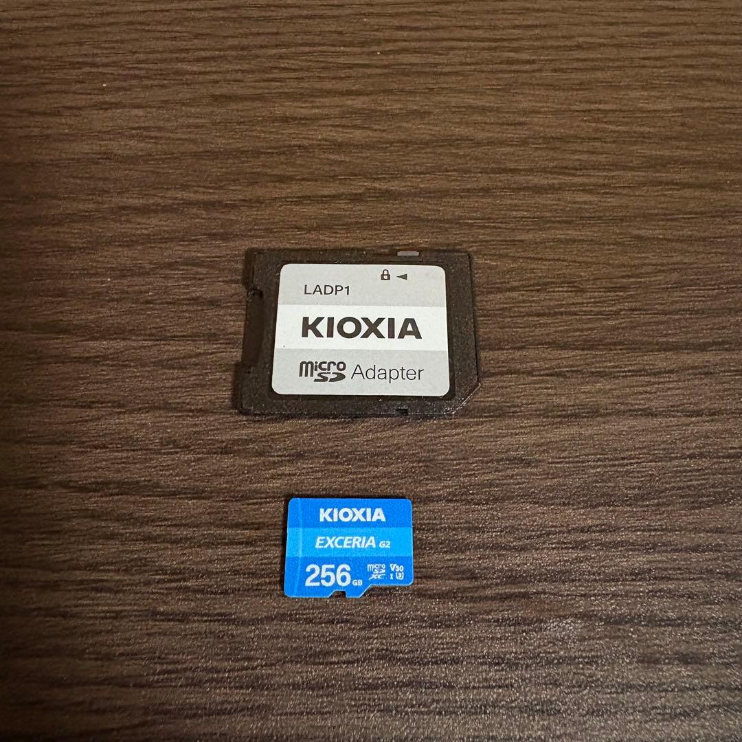 Nintendo Switch 本体 グレー等（256GBマイクロSD付き）