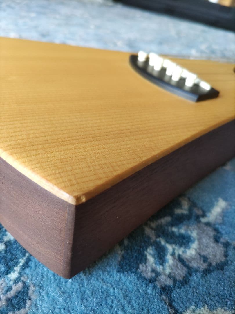 【美品】F.martin&Co 　マーティン　バックパッカー　ケース付き