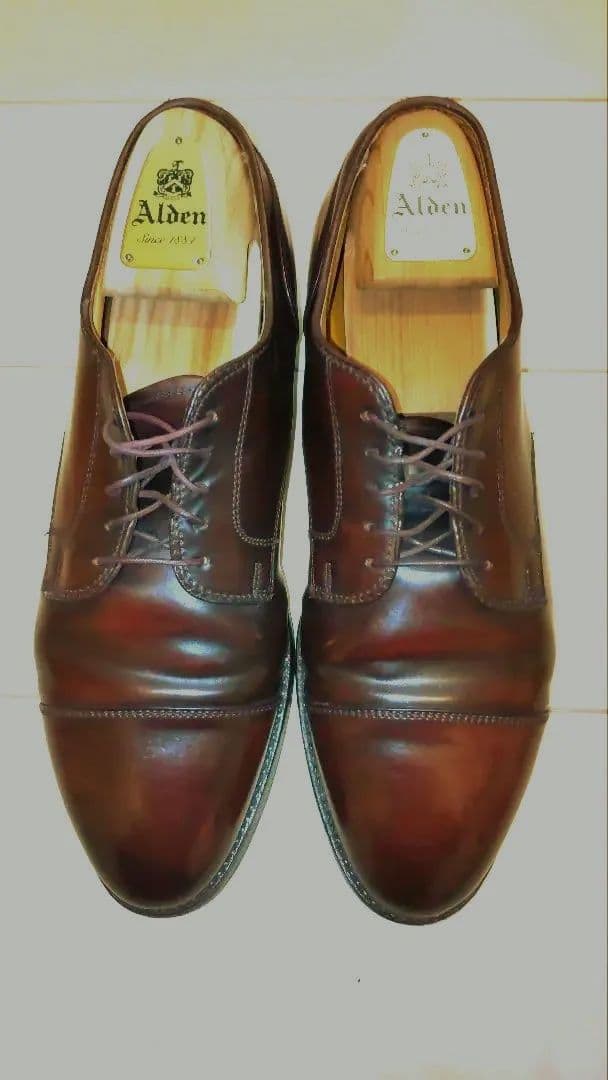 Alden2160シェルコードバン ストレートチップキャップトゥ9Dバーガンディ