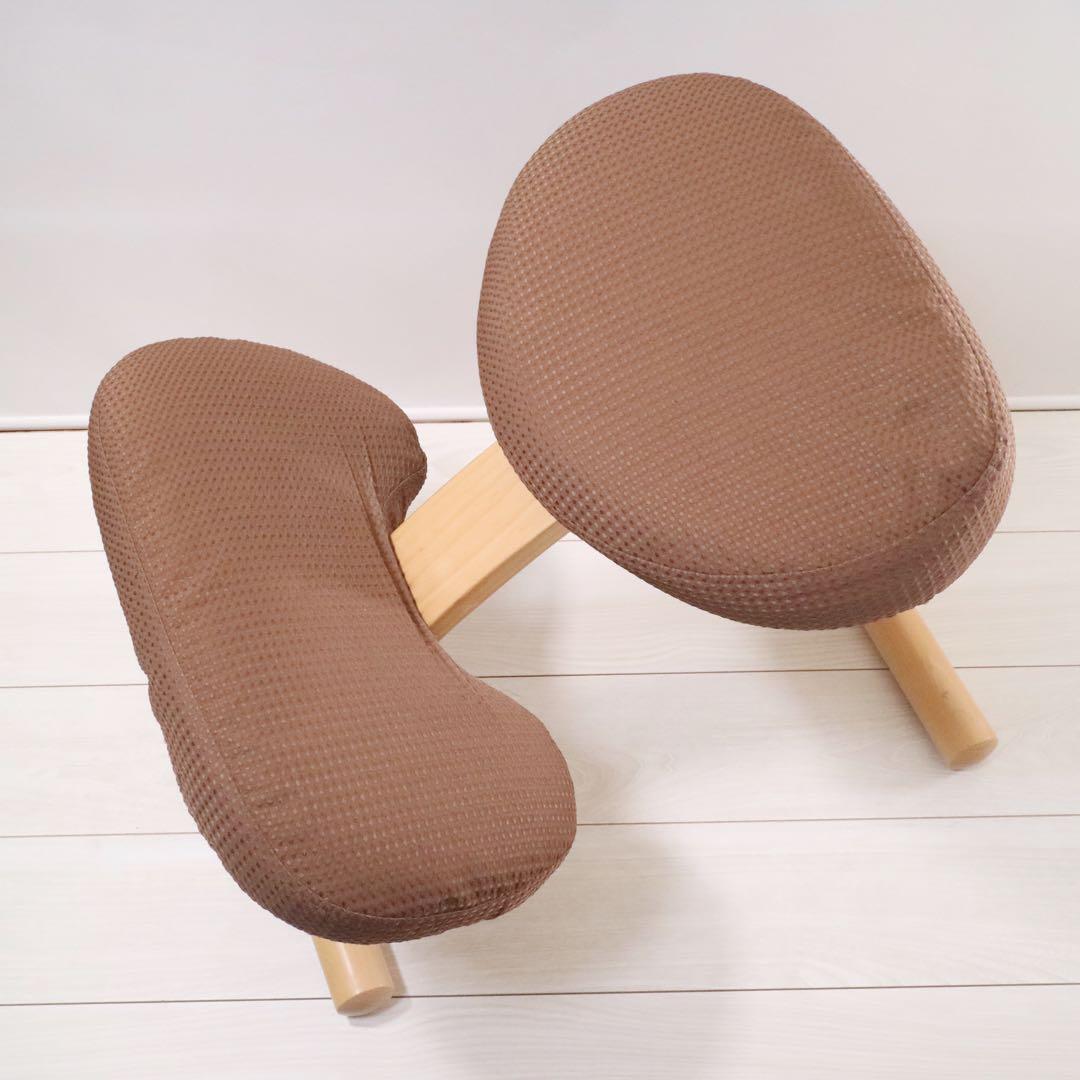 バランスイージー バランスチェア 通常フレーム 背筋矯正