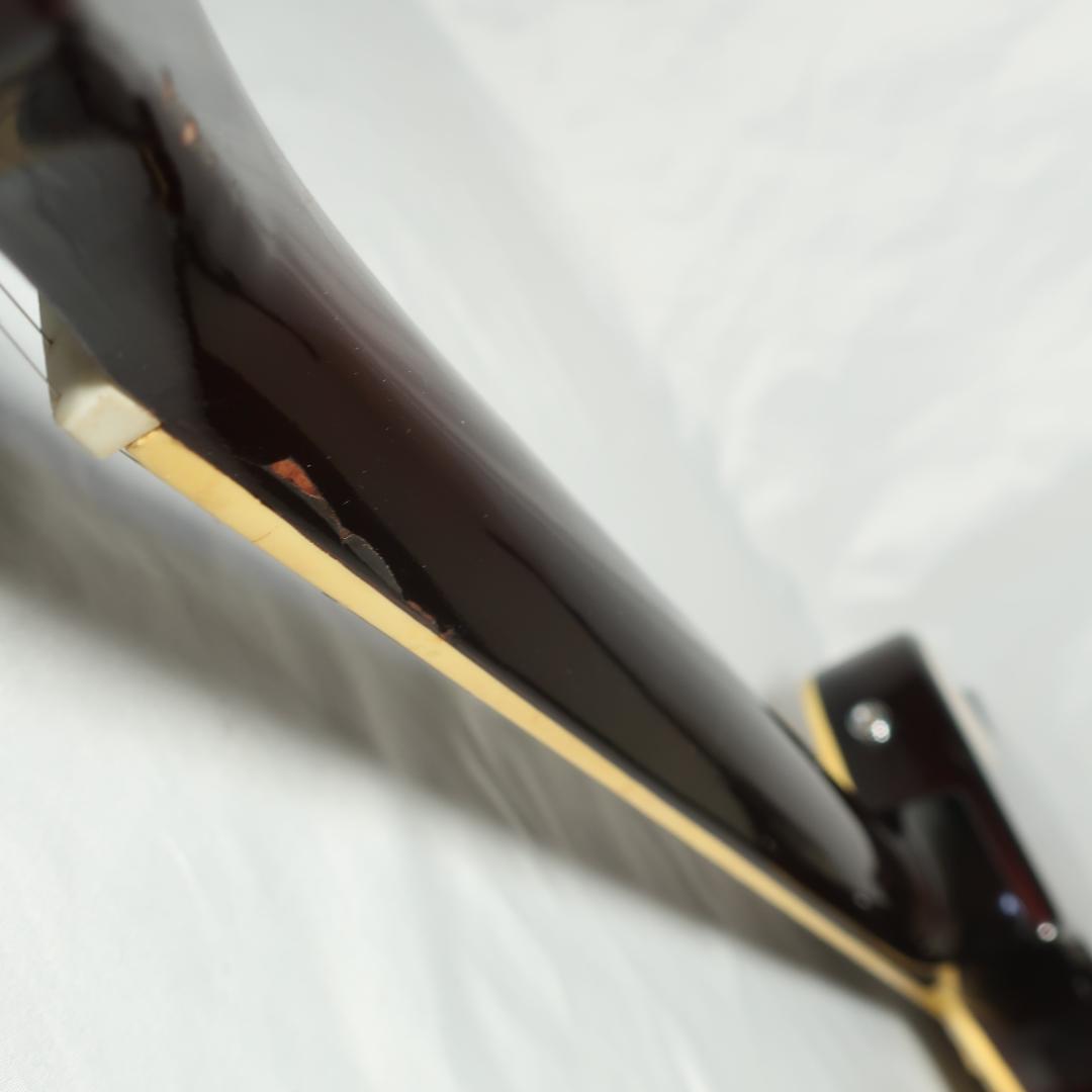 CUSTOM Let's Play Music レスポールタイプ エレキギター