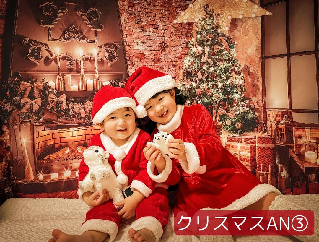 業務用　2026年お正月トリミングチョーカー+背景布×3　ペット、犬撮影用ブース