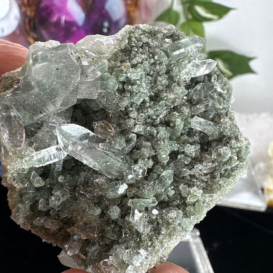 レア♡ヒマラヤ水晶クラスター♡ガーデン共生♡No.1735