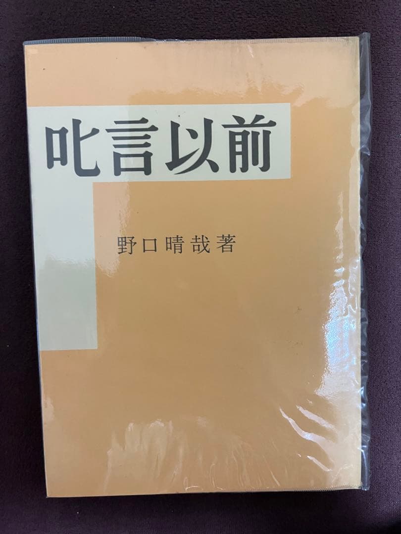 整体法 野口晴哉 全16巻 +プリント3冊+教授書1冊