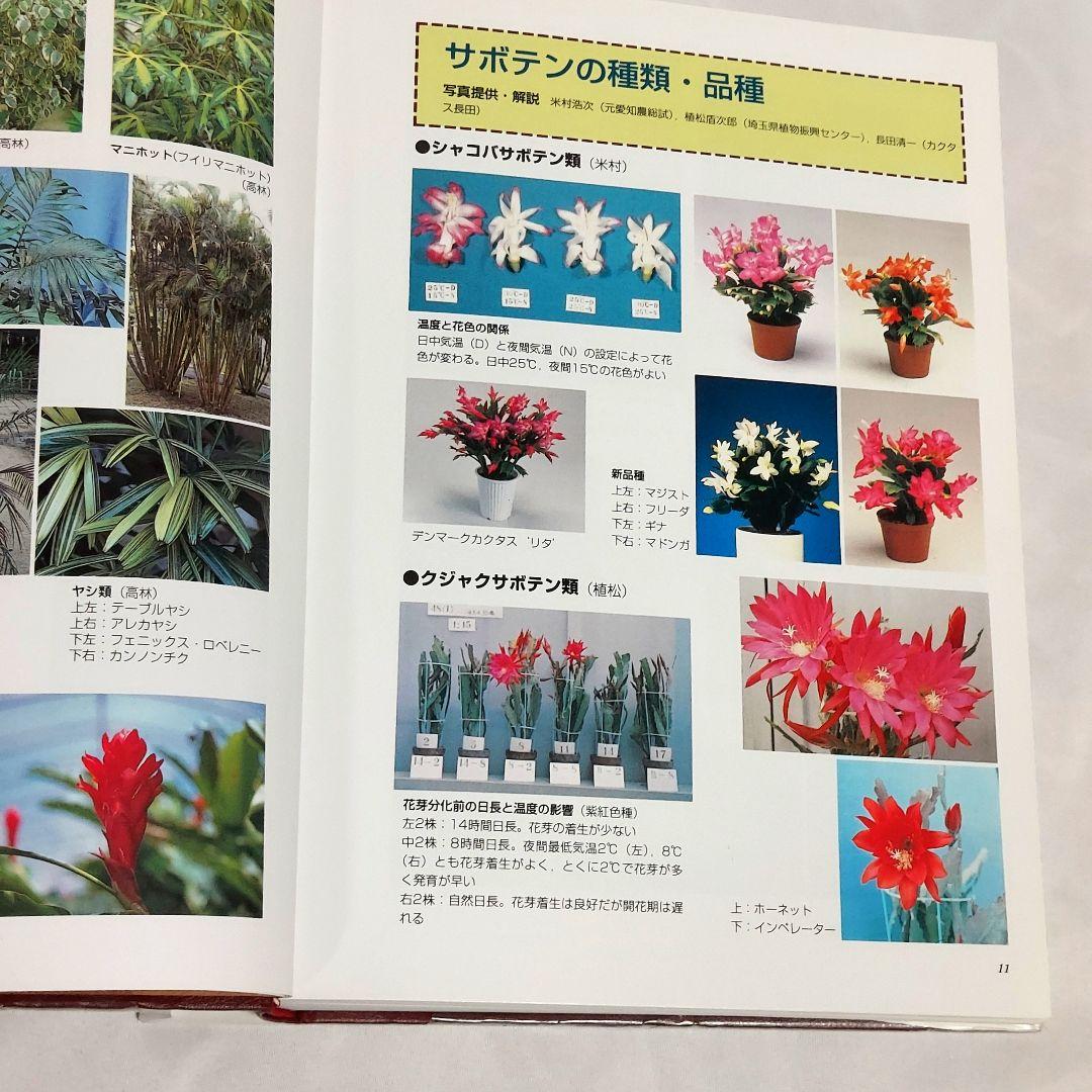 【希少！　初版！　美品！】　​花卉園芸大百科 16　観葉植物　サボテン　多肉植物