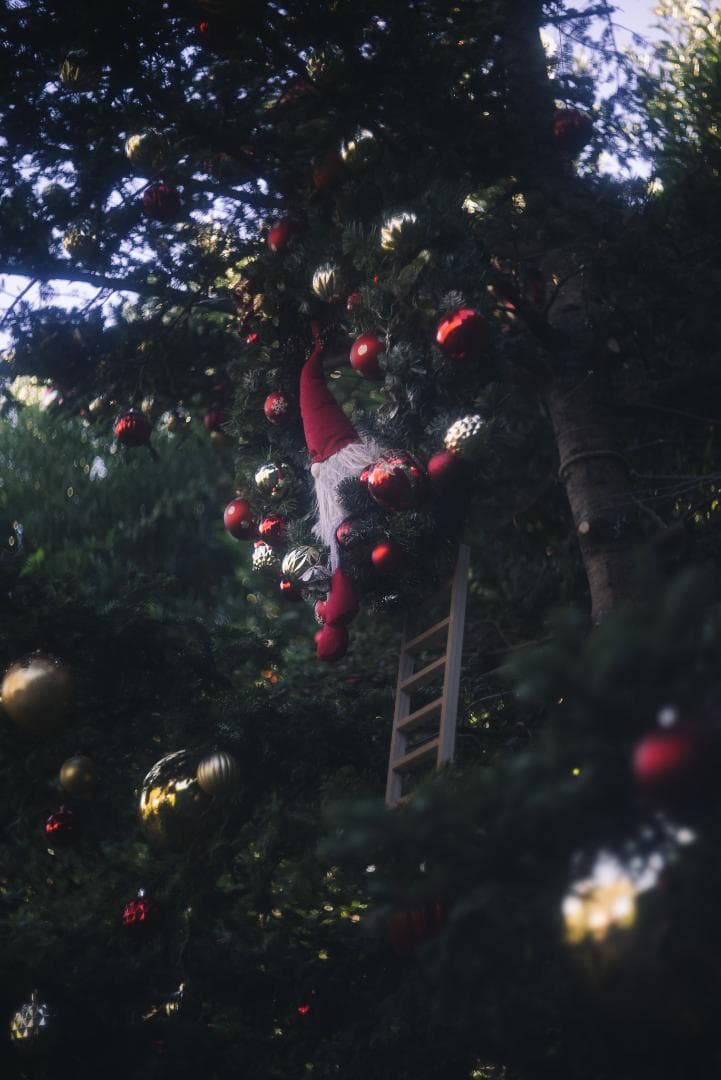 光が滲むライカの癖玉！Leica Summar 50mm f2 オールドレンズ