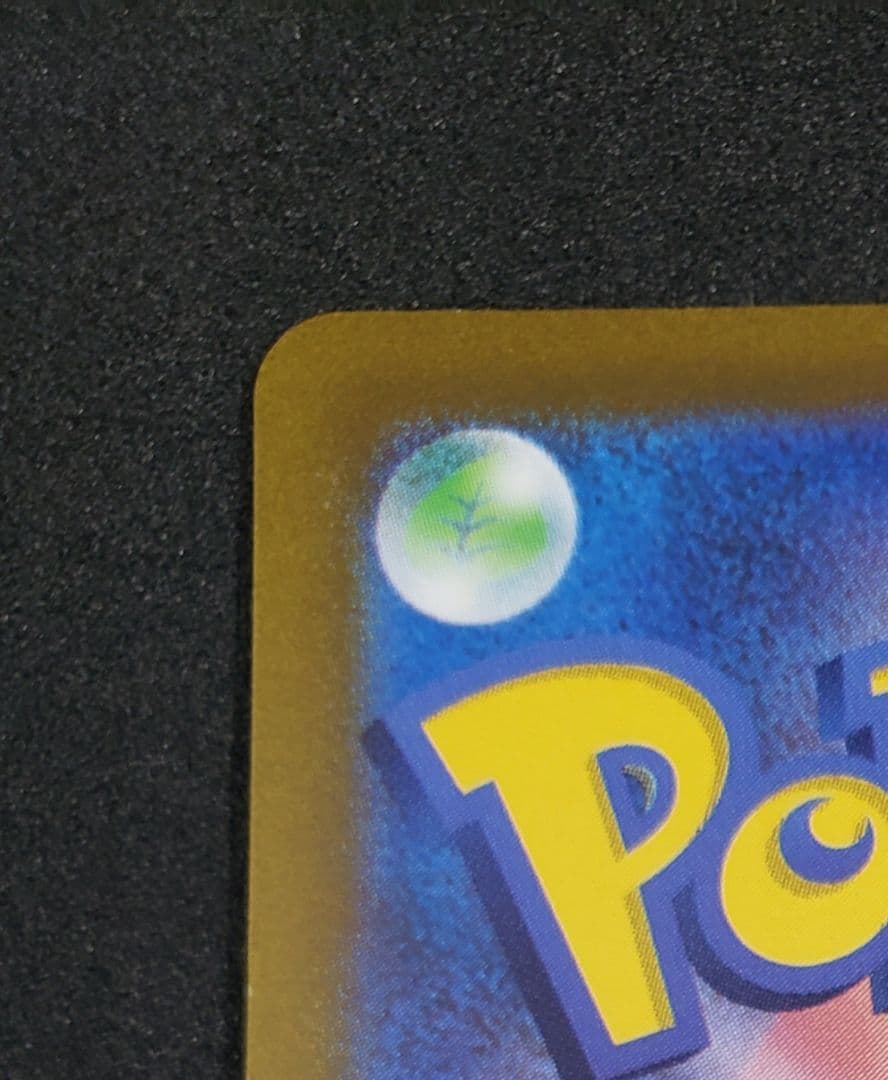 ピカチュウ：プレシャス コレクターボックス ソード&シールド プロモ