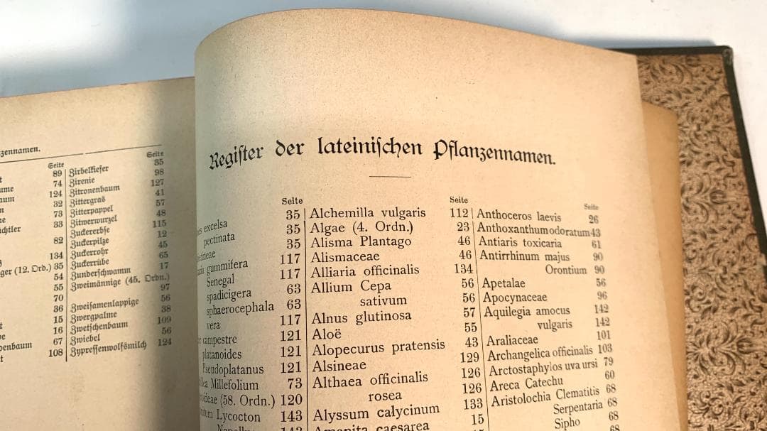 Bilder-Atlas des Pflanzenreichs植物界絵図アトラス