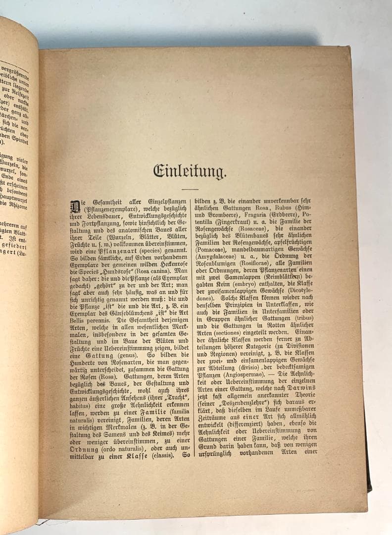 Bilder-Atlas des Pflanzenreichs植物界絵図アトラス