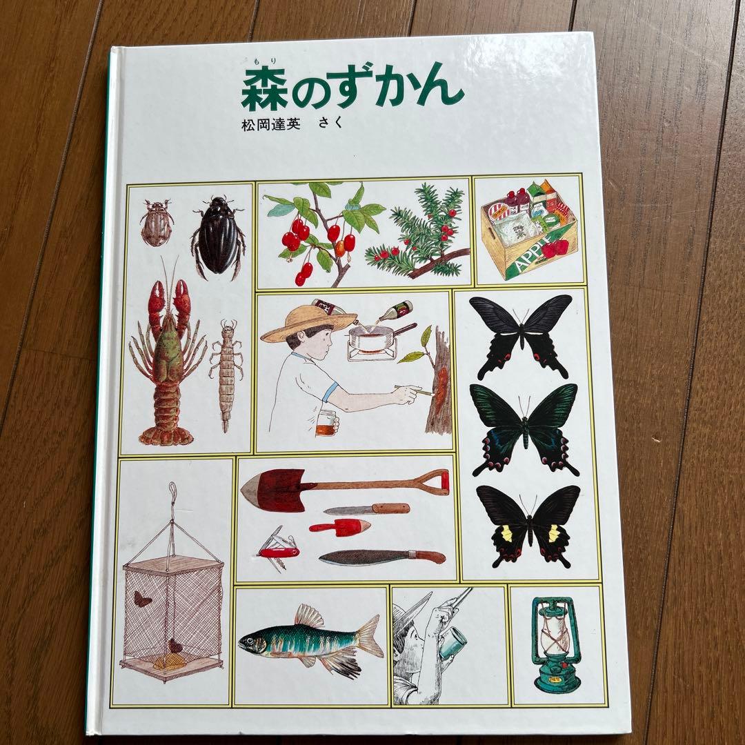 福音館のかがくのほん10冊セット