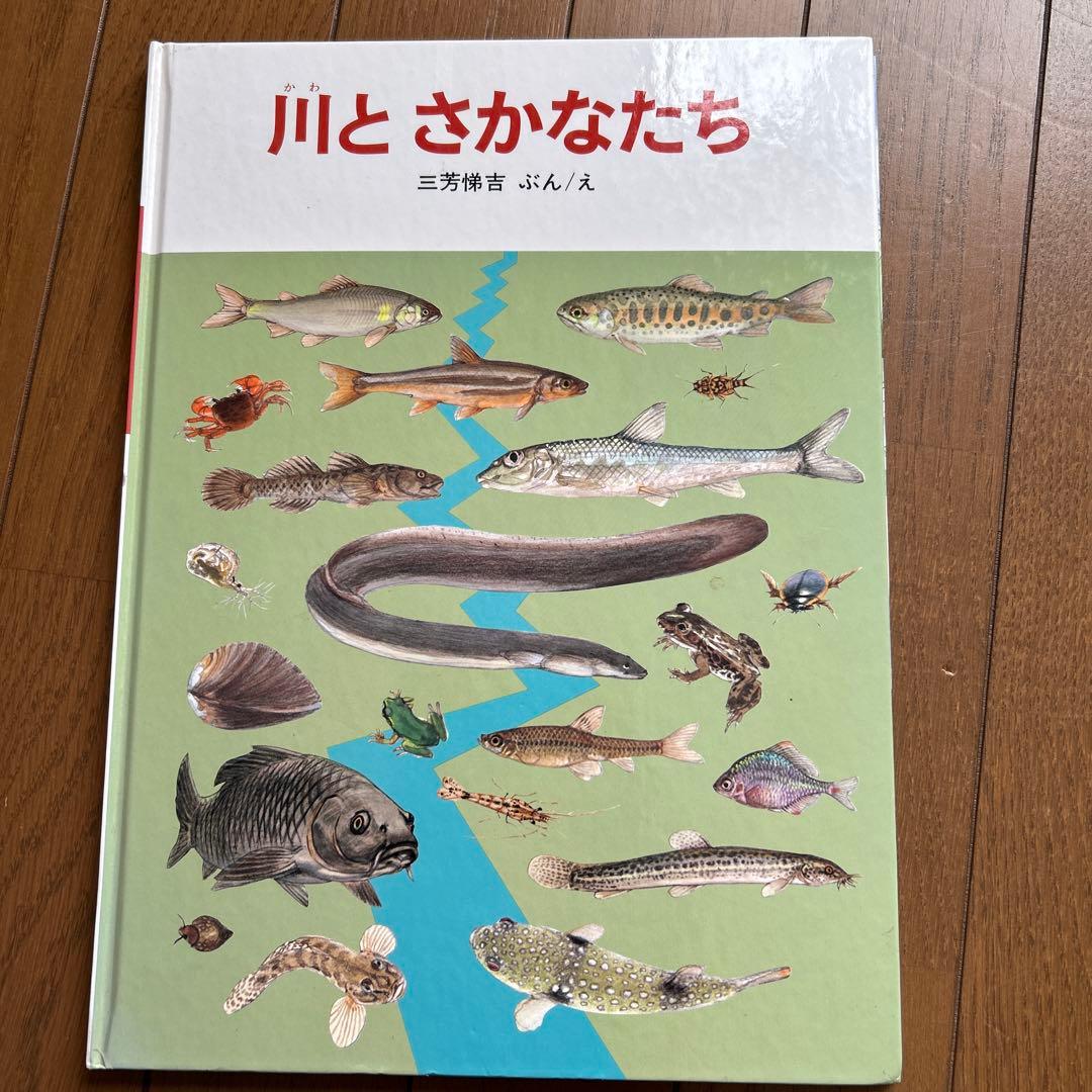 福音館のかがくのほん10冊セット
