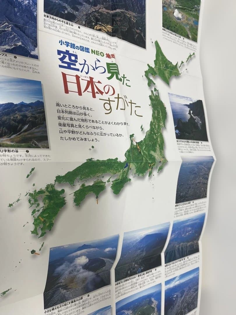 小学館の図鑑 NEO 8冊セット DVD付きあり