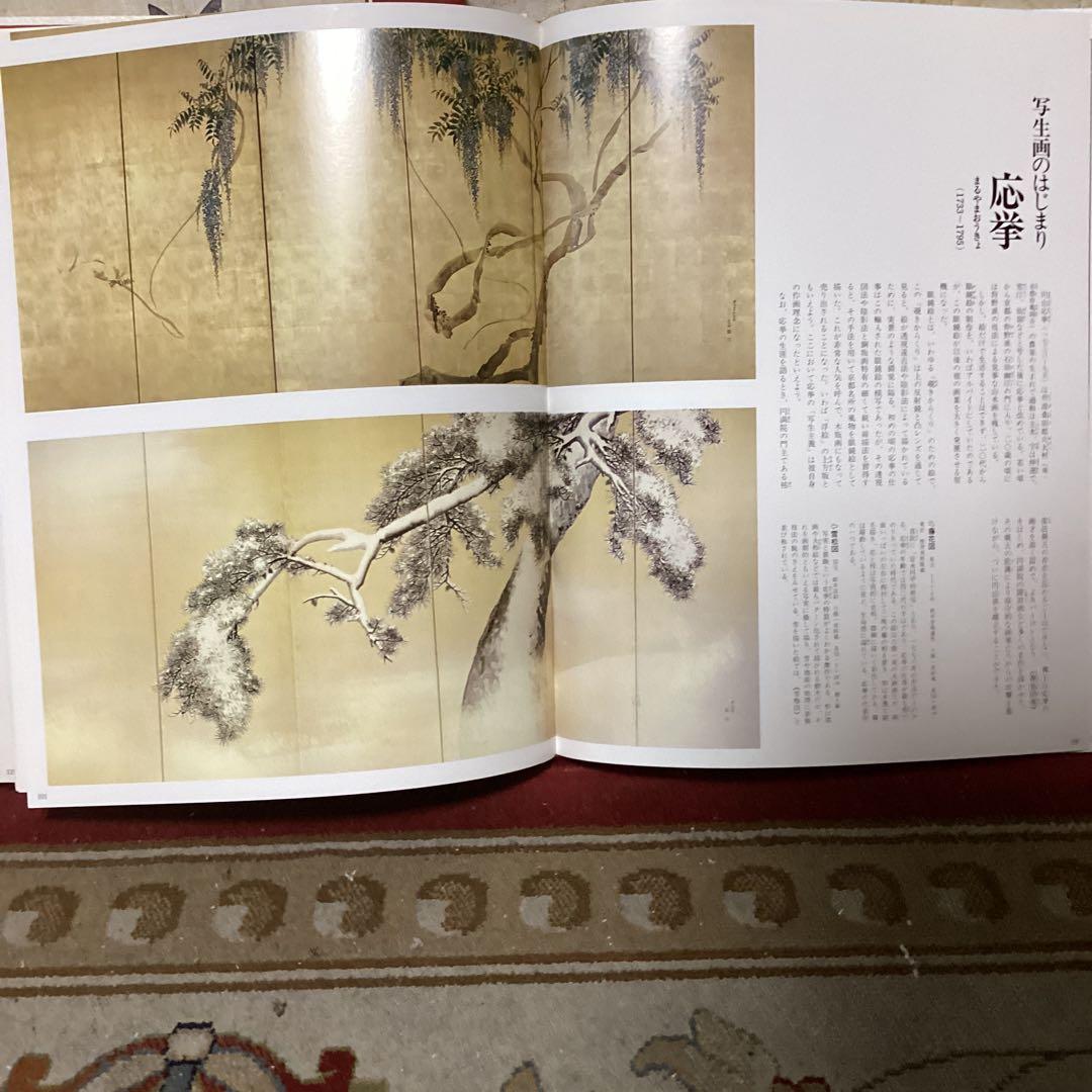 カルチュア版　せかいの美術　８ 【日本の名画　Ⅱ 】　江戸の絵画　世界文化社