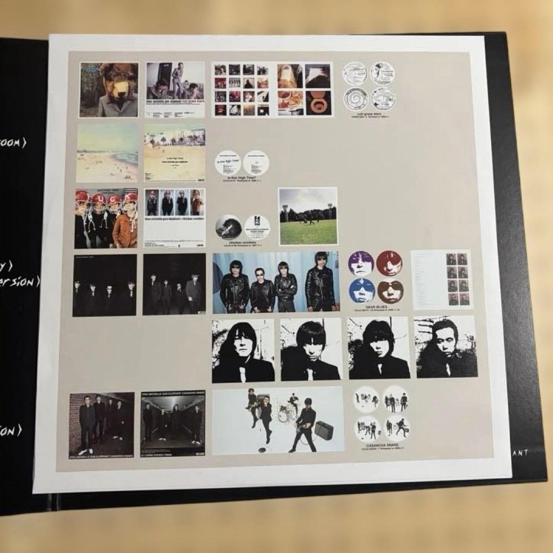 ミッシェルガンエレファント　12inch レコード2枚組　TMGE106