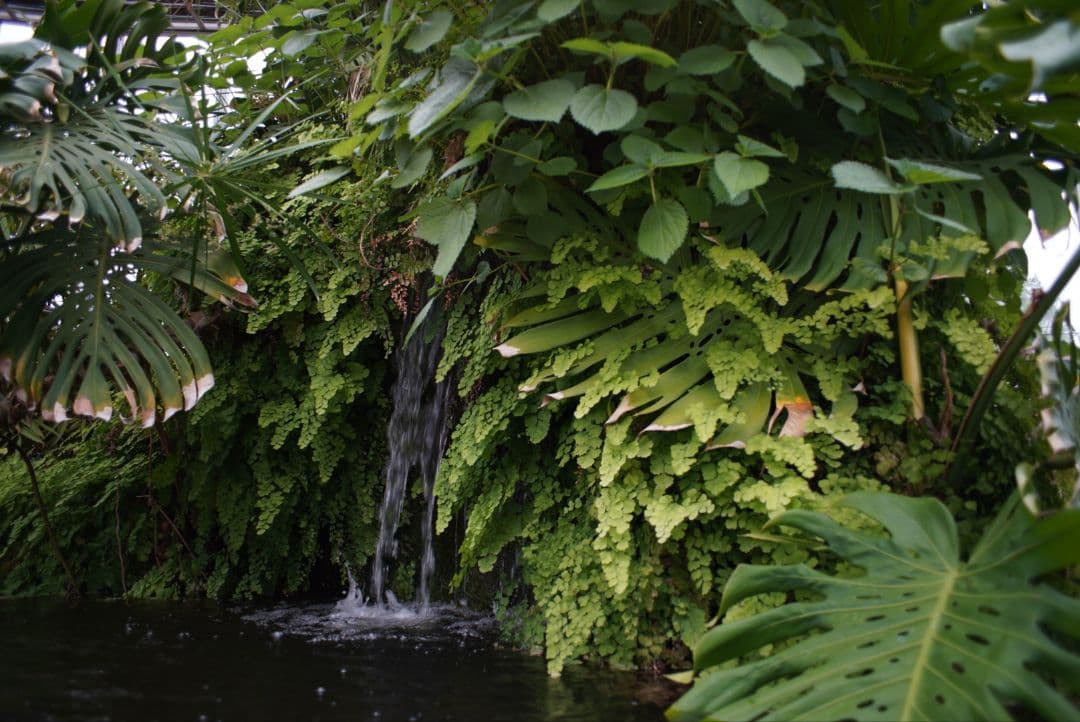 【良品】PENTAX S-M-C タクマー 24mm f3.5 初期保証付