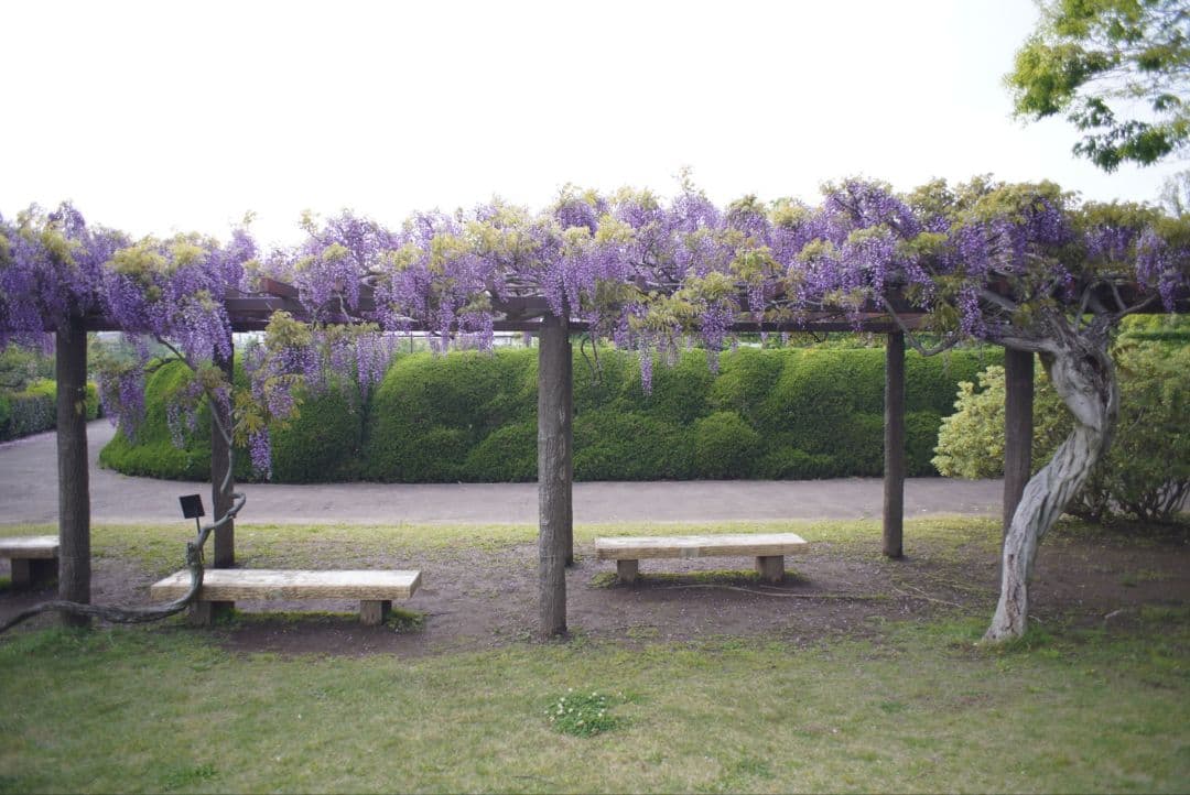 【良品】PENTAX S-M-C タクマー 24mm f3.5 初期保証付