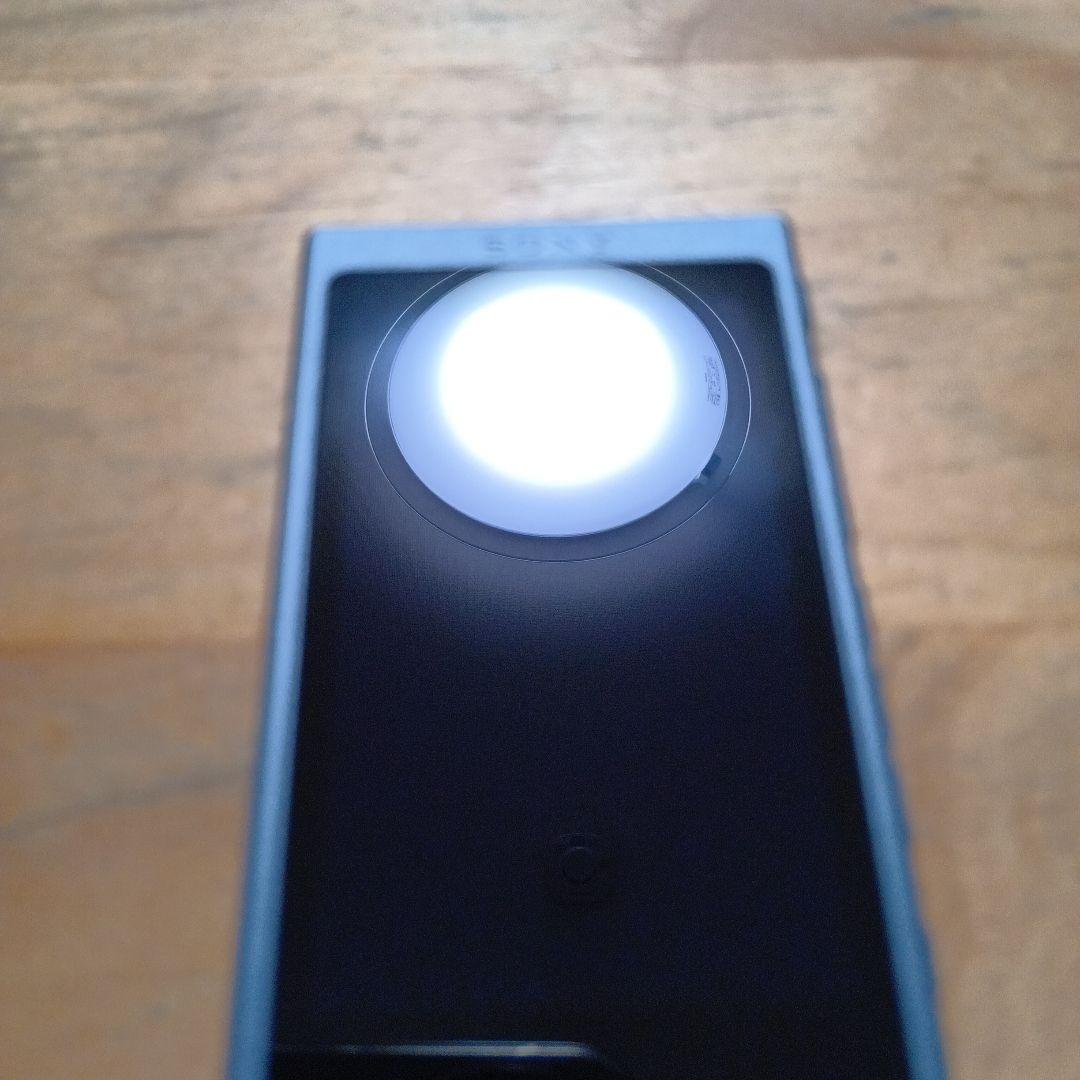 p*o様 SONYウォークマンNW-A45 16GB