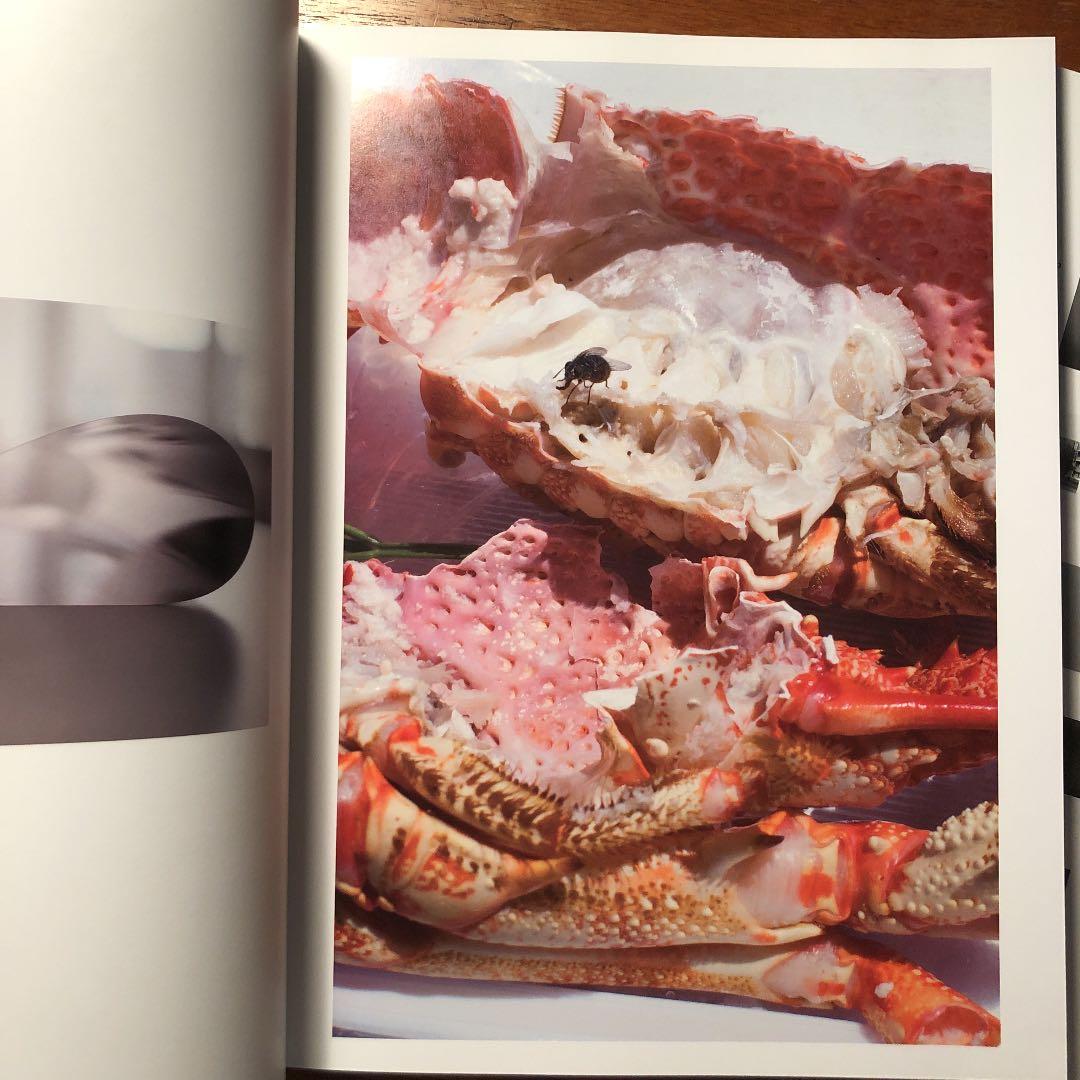 YOUR BODY IS YOURS / ヴォルフガング・ティルマンス