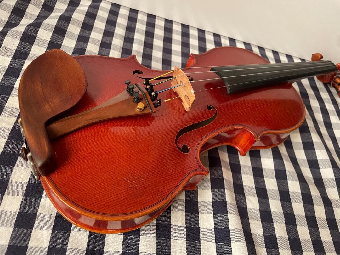 ピグマリウス DX-118 4/4サイズ 駒調整済み