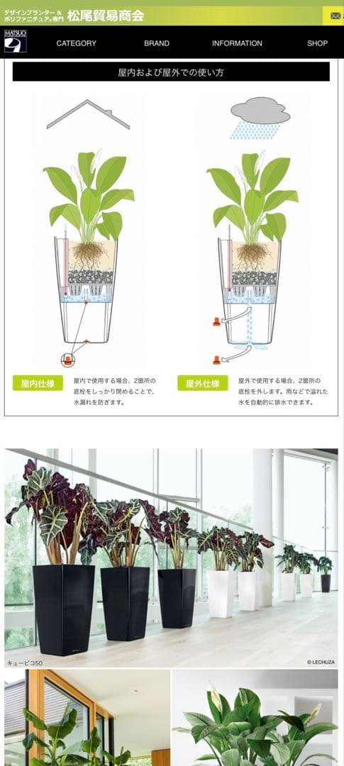 Lechuza 茶30 プランター自動給水プランタ最長12週間水やり不要　訳あり