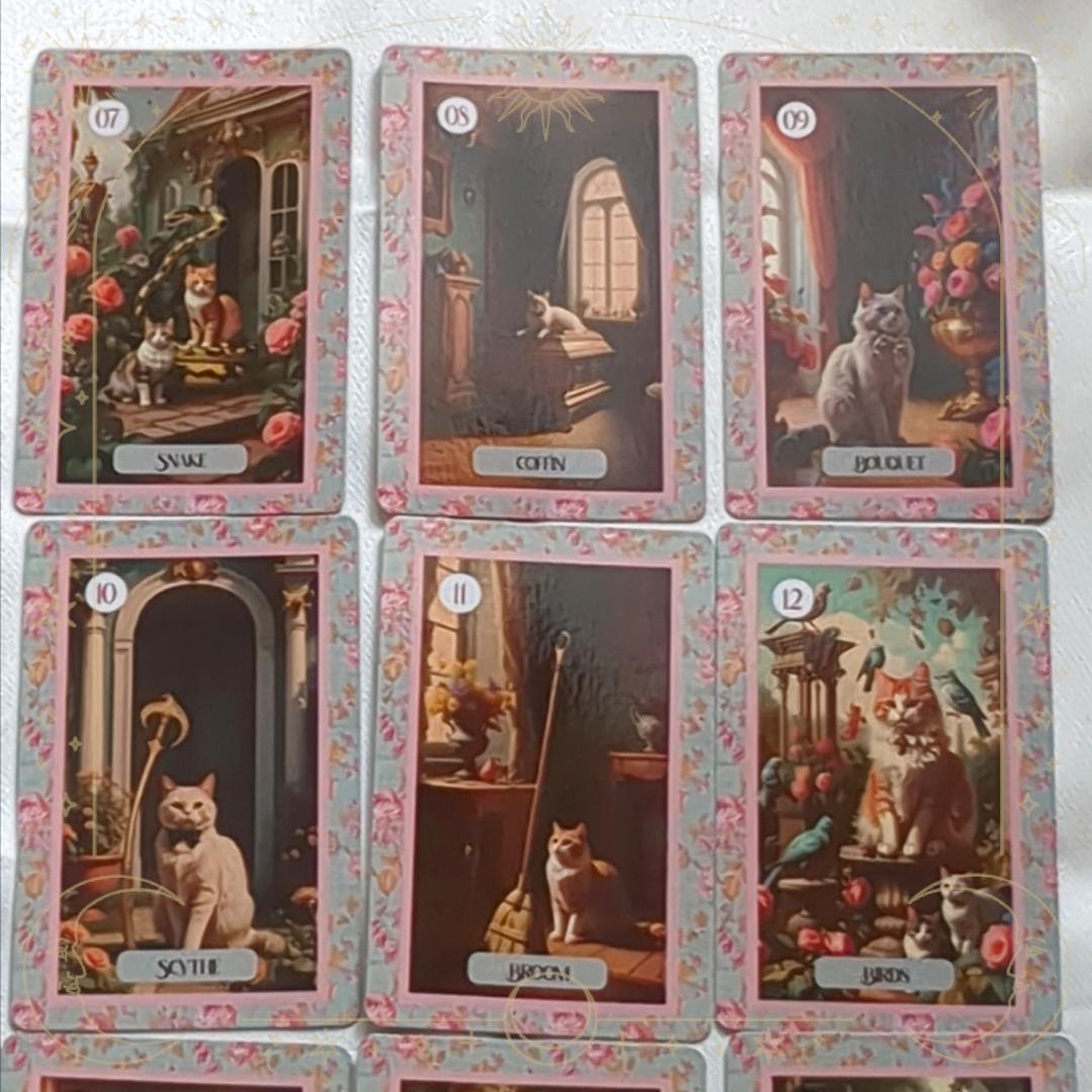 入荷1点のみ✨スペイン作家のキュートデッキ✨柔らか猫ちゃんのルノルマンカード