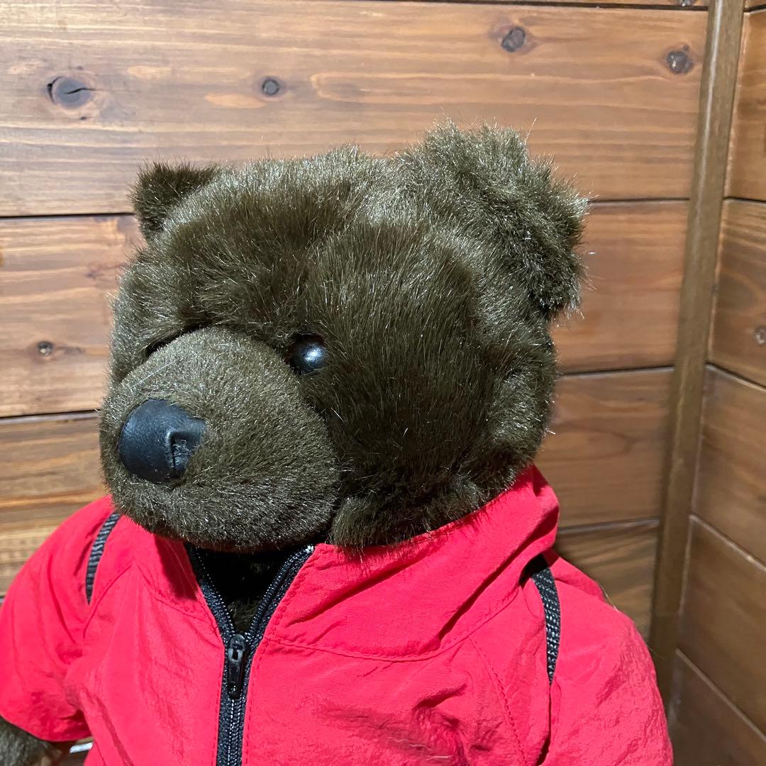 llbean teddy bear コラボ　ぬいぐるみ　アノラックパーカー　赤