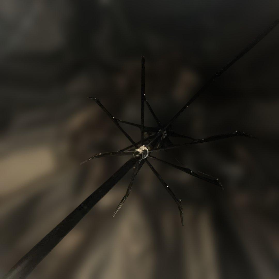 JILL STUART キラキラ フリル付き黒日傘