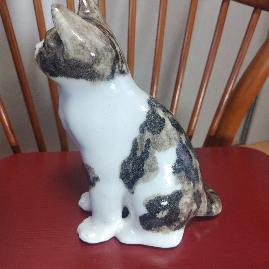 ウィンスタンレイキャット（ケンジントンキャット）ハチワレの子猫、サイズ3