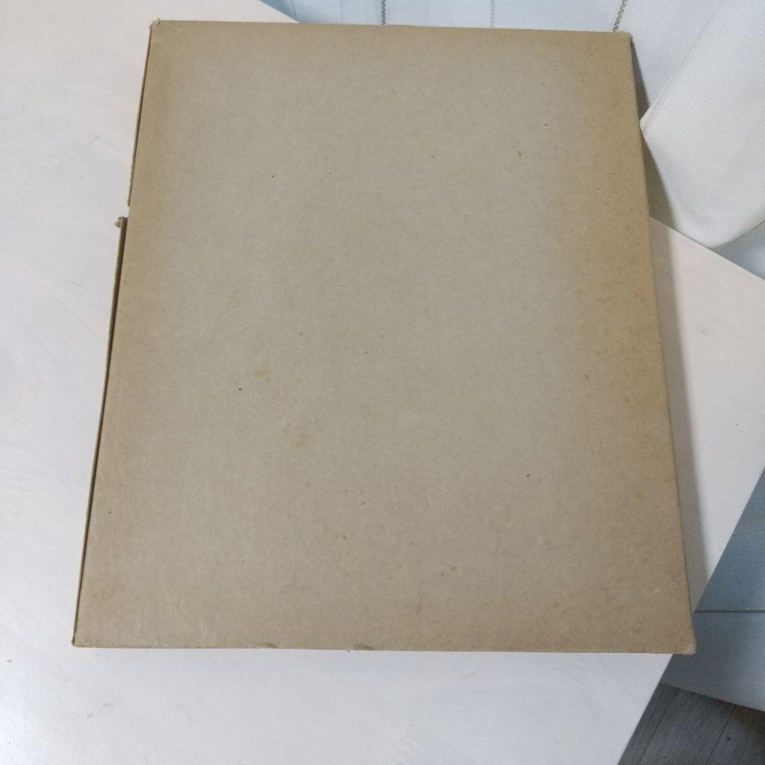 80sIMPROBABLE MEMORIES サラムーン 写真集